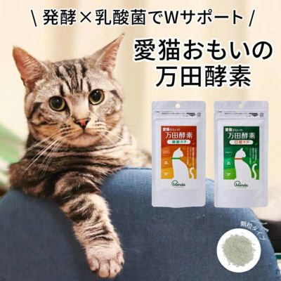 ファルミナ】 プライム ウエット チキン ザクロ入り 子猫用 70g